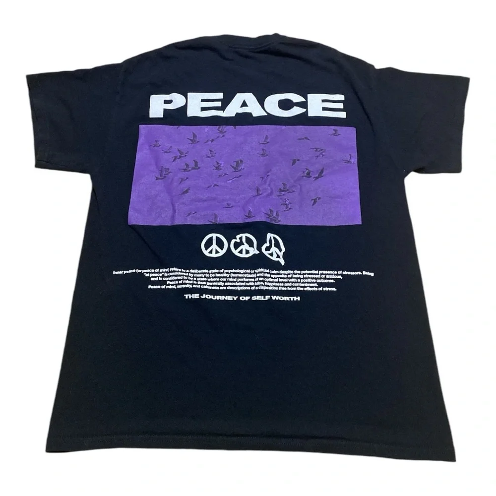 PacSun Men’s Graphic T-Shirt Peace Now Size Medium - Picture 6 of 8
